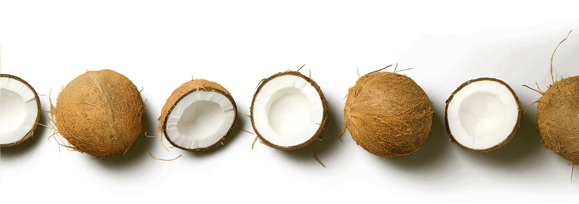 Coconuts with the shadow 2 1